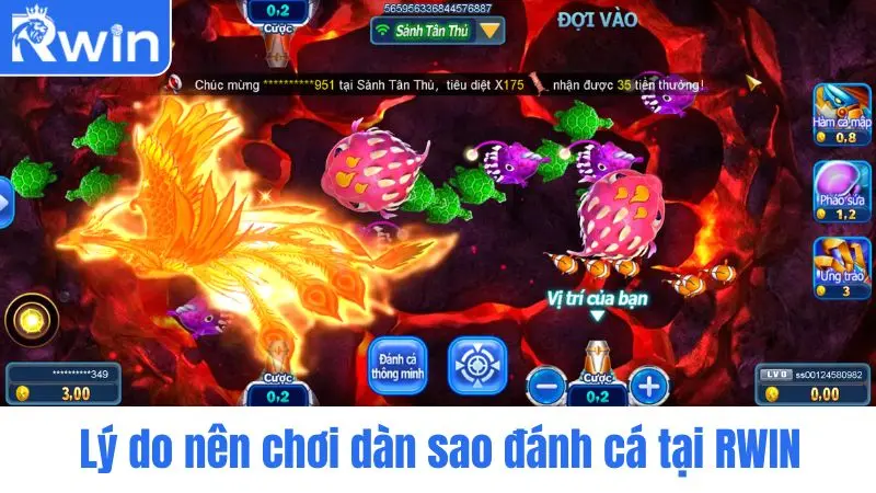 Lý do nên chơi dàn sao đánh cá tại RWIN